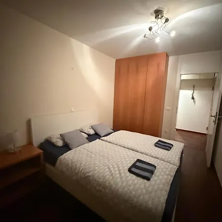 Yucca1 * Lublaň